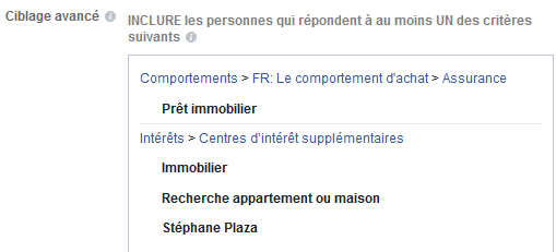 Ciblage publicitaire comportemental sur Facebook