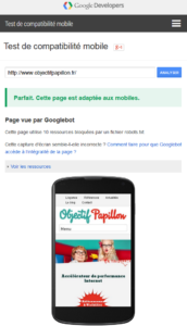 Test de compatibilité mobile Google