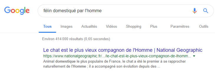 felin domestiqué par l'homme